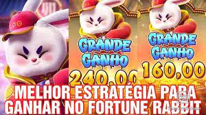 qual melhor horário para jogar rabbit fortune